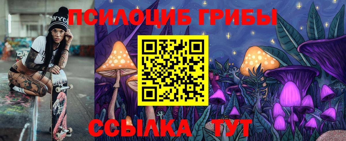 Галлюциногенные грибы Psilocybe  Вход с VPN  Каспийск  Галлюциногенные грибы прущие грибы 